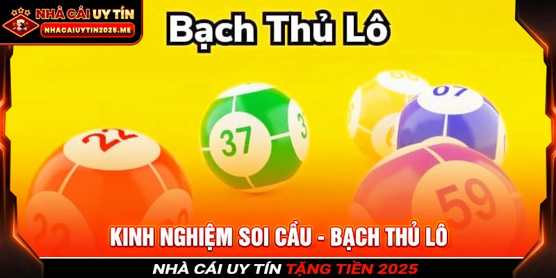 bạch thủ lô